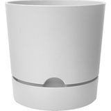 Begonya Saksı Tabaklı Drenajlı Mat Plastik Çiçek Saksısı (1 Adet, 1,8 Litre, 15CM, Beyaz) - Çok Renkli
