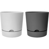 Begonya Saksı Tabaklı Drenajlı Mat Plastik Çiçek Saksısı (2 Adet, 1,8 Litre, 15CM, Beyaz&gri) - Çok Renkli