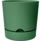 Begonya Saksı Tabaklı Drenajlı Mat Plastik Çiçek Saksısı (Yeşil, 3.3 Litre)