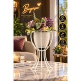 Begüsa Anafor Saksılık Beyaz 25 Cm Krem Saksı Hediyeli, Metal Saksılık, Dekoratif Saksı Standı, Saksı Hediyeli Çiçeklik, Ev ve Balkon Dekorasyonu