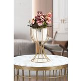Begüsa Anafor Saksılık Eskitme 25 Cm Şeffaf Saksı Hediyeli