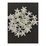 BEİLYS COSMETİCS & ACCESSORY İnci Deniz Yıldızı Minik Boy Krem Rengi 2 Cm Plastik Inci Boncuk- 100 Adet Sedefli B:19