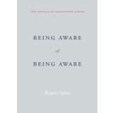 Being Aware of Being Aware: The Essence of Meditation Volume 1