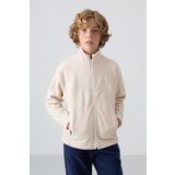 Bej Kalın Yumuşak Dokulu Standart Fit Nakışlı Polar Erkek Çocuk Sweatshirt - 11223