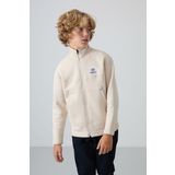 Bej Pamuklu Kalın İçi Tüylü Yumuşak Dokulu Standart Fit Nakışlı Erkek Çocuk Sweatshirt - 11245