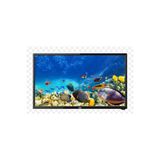 Beko B32K 586 UYDU ALICILI LED HOTEL TV