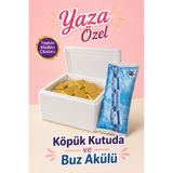 belchocolate Altın Sargılı Sütlü Madlen 60 Adet Çikolata Buz Akülü ve Köpük Kutulu