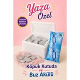 belchocolate Gümüş Sargılı Sütlü Madlen 100 Adet Çikolata Buz Akülü ve Köpük Kutulu
