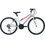Belderia Tec Eros 24" Jant 21 Vites V-Fren Pembe Beyaz Dağ Bisikleti