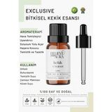 Believe Your Aura Bitkisel Kekik Esansı - %100 Saf ve Bitkisel Buhurdanlık Difizör Exclusive Ortam Kokusu - 10 ml - Tek Ebat