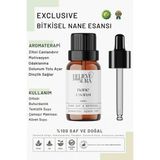 Believe Your Aura Bitkisel Nane Esansı - %100 Saf ve Bitkisel Buhurdanlık Difizör Exclusive Ortam Kokusu - 10 ml - Tek Ebat