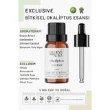 Believe Your Aura Bitkisel Okaliptus Esansı - %100 Saf ve Bitkisel Buhurdanlık Difizör Exclusive Ortam Kokusu - 10 ml - Tek Ebat