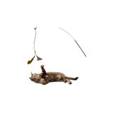 Belirtilmemiş Aee® Kedi Oltası Elastik Çift Tüylü Çanlı Boncuklu Kedi Oyuncağı – 130 cm Uzunluk, Dayanıklı Paslan