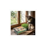 Belirtilmemiş Kedi Çimi - Kedi Sindirim Sistemini Rahatlatıcı Sağlıklı Kedi Otu