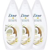 Belirtilmemiş Nemlendirici Hindistan Cevizi Yaği & Badem Sütü Özü Duş Jeli 500 ml x 3 Adet