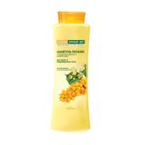 Belita Sea Buckthorn And Lime Blossom Kuru Ve Hasarlı Saçlar Için Onarıcı Şampuan