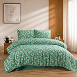 Bella Home New Box Tek Kişilik Nevresim Takımı | Yumuşak Dokulu | Modern Tasarım | Lüks Kutulu 160 x 220 cm - Yeşil