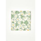 Bella Maison Daisy 20'li Yeşil Kağıt Peçete 33x33 Cm Düz Tasarım ile Sofra ve Parti Kullanımına Uygun