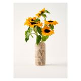 Bella Maison Hera Mango Vazo Kahverengi (19x9 cm)