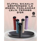 Belle Fusion Mey Ithalat® 250ML LED Ekranlı Paslanmaz Çelik Akıllı Termos - Çok Renkli