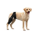 BELLFLEKSS Köpek diz yaralanması koruma kollu ön ve arka bacak rehabilitasyon yalamak kurtarma bandajı