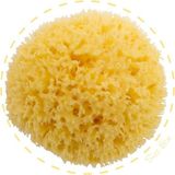 Bellini %100 Doğal Akdeniz Süngeri - Bebek Banyo Süngeri - 1 Adet