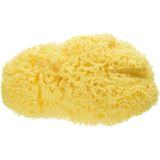 Bellini %100 Doğal Akdeniz Süngeri - Bebek Banyo Süngeri - 10 x 10 cm - 0002R72