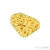 Bellini Doğal Deniz Süngeri