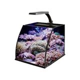 Belly Box 25 Ledli Sumplu Nano Akvaryum 26X26X24CM - Çok Renkli