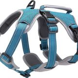 BELPRO Çok Kullanımlı Destek Köpek Koşumu, Kaçışmaya Dayanıklı Çekme Yapmayan Yansıtıcı Ayarlanabilir Yelek, Büyük/Aktif Köpekler için Köpek Yürüyüş Koşum Takımı (Mavi, L)