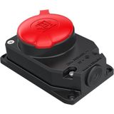 Bemis BK6-2504-4511 3x25A 3P+E 380V IP55 Duvar Prizi