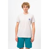 Benetton BNT-M099-R-23Y Gri Melanj Erkek T-shirt