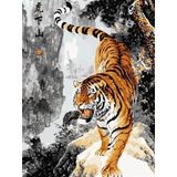 Bengal Kaplanı Sayılarla Boyama Seti 50x65 cm (Tuvale Gerili)
