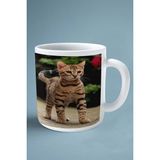 Bengal Kedi Isimli Kişiye Özel Baskılı Kupa Bardak Model 1