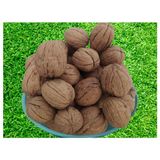 Bengi Ticaret Ceviz Bahçemizded Ince Kabuk Kolayca Kırılır Chandler Doğal Üretim 2 kg