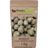 Benim Aktar 1 kg Muskat Küçük Hindistan Cevizi Hint Cevizi