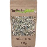 Benim Aktar 1 kg Oğul Otu