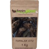 Benim Aktar 1 KG Topalak Otu