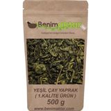 Benim Aktar 1 KG Yeşil Çay Yaprak