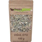 Benim Aktar 100 gr Oğul Otu