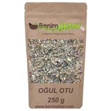 Benim Aktar 250 gr Oğul Otu