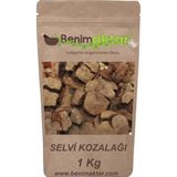 Benim Aktar Benimaktar Servi Selvi Kozalağı Yeni Mahsül 1 kg