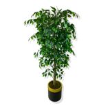 Benjamin 180 Cm Yapay Ağaç 30x30 Gold Kemerli Saksı