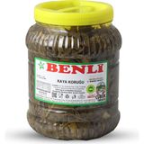 Benli Turşuculuk 2 kg Çubuk Kaya Koruğu Turşusu