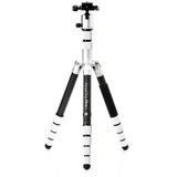 Benro Mefoto Silver Road Trip PRO CF Tripod