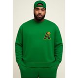 BENROMA 3 Iplik Penye Çiçekli A Baskılı Büyük Beden Unisex Sweatshirt, Yeşil, 3XL