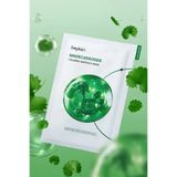beplain Madecassoside Yatıştırıcı Ampul Maske 24ml