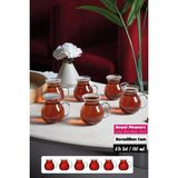 Berdina Home 6'lı Pleasure Borosilikat Cam Bardak Set Isıya Dayanıklı Keyfi Ala Kulplu Çay Fincanı Bardağı - Şeffaf - 180 ml