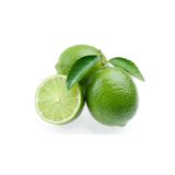 Berke Fidancılık 5 Yaş Aşılı Dikensiz Mexican Lime Limon Fidanı, Torbada