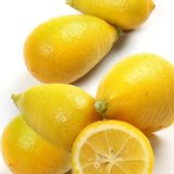 Berke Fidancılık 6 Yaş Aşılı Limequat Süs Limonu Fidanı – Torbada, Meyve Veren, Dekoratif Narenciye